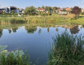 Zawody spławikowe GPx Koła 122 - 27.04.2024r kanał Dunaj w miejscowości Lubraniec